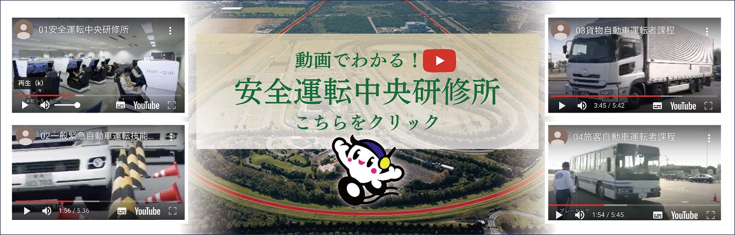 動画でわかる